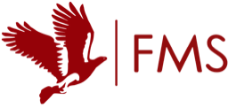 Faculty of Management Studies, University of Delhi logo